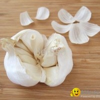 fresh garlic