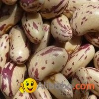 Light Speckled Kidney beans,Long Shape