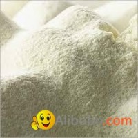 Powder Milk