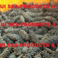 Dried Sea Cucumbers