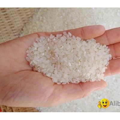 Vietnam’s rice exports increase 27 percent in first two months of 2020picture1