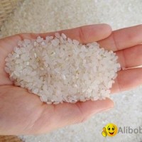 Vietnam’s rice exports increase 27 percent in first two months of 2020