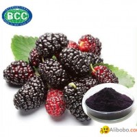 Mulberry Fruit Extract