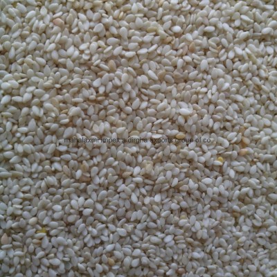 sesame seedspicture1