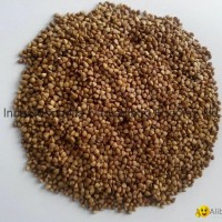 boiled buckwheat kernels