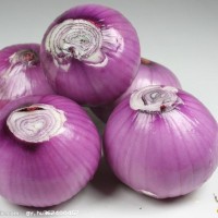 china red onion