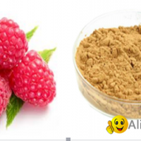 Raspberry Extract (Rubus idaeus L.)