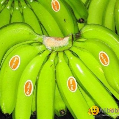 Offer To Sell Fresh Bananapicture1