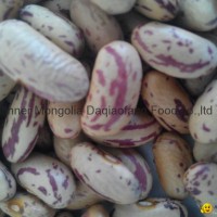 Light Speckled kidney beans(long sharp)