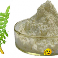 Boswellia Extract