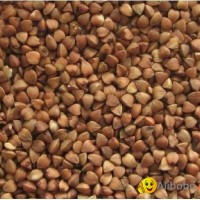 Roasted buckwheat kernels