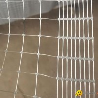 chicken fence netting for thailand