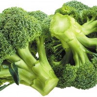 Broccoli Extracrt