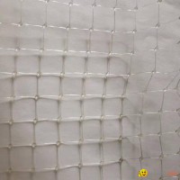 BI-ORIENTED NETTING