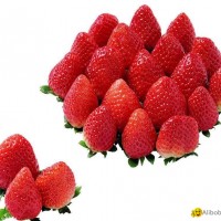 Strawberry Extract Powder