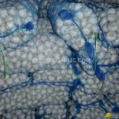 Jinxiang Purel White Garlic 10KG mesh bag packing*picture1