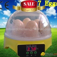 2013popular hot sale mini chicken eggs incubator