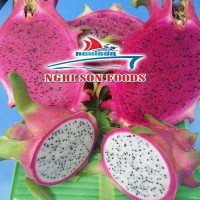 FRESH DRAGON FRUIT