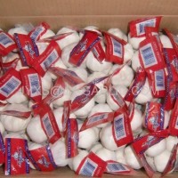 Normal White Garlic 3pc/mesh bag packing*