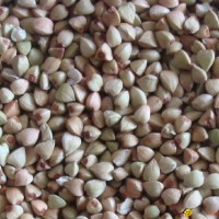 Buckwheat Kernel Raw