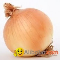 onion