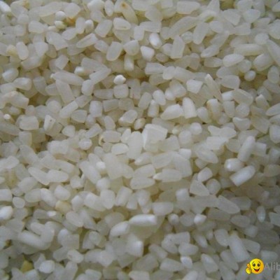 Broken Ricepicture1