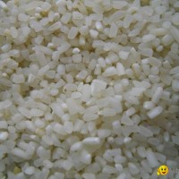 Broken Rice