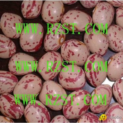 Light Speckled Kidney Beans-roundpicture1