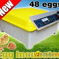 2013newest hot sale mini incubator