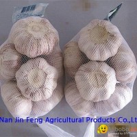 jinxiang garlic