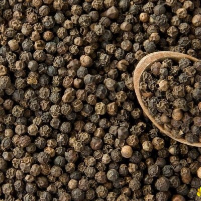 Black pepper Available for salepicture1