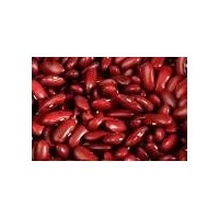 Export Broad White Kidney Dry Beans For Sale 2013 Crop