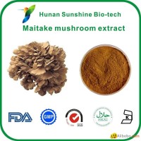 Maitake mushroom extract powder