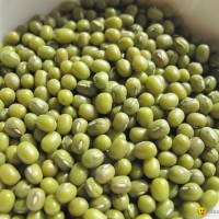 we sale grade a green mung beans