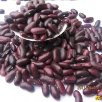 red kidney beans