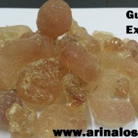 gum arabic