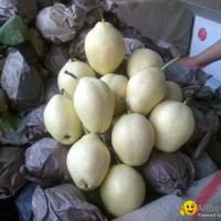 zao su pear