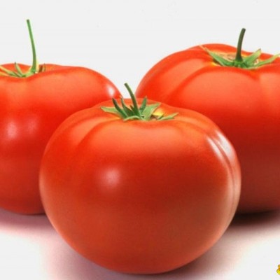 fresh red tomatoespicture1