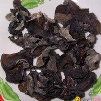 mushroom (black fungus)