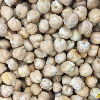 Kabuli Chickpeas Grade Apicture1