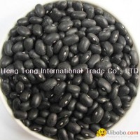 Black Kidney Beans