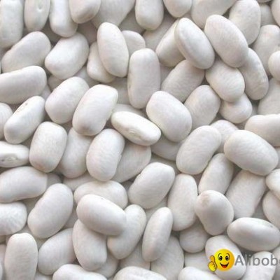 White Kidney Beans - New harvestpicture1