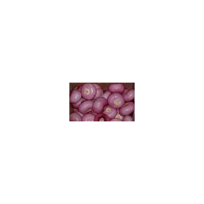 FRESH  PINK ONION FARM FRESHpicture1