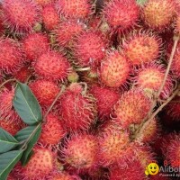 rambutan