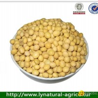 Chinese Natural Soybean for Sale