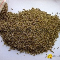 cumin seeds