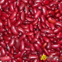 red kidney beans