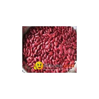 Red Kidney Beanspicture1