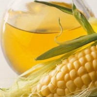 Corn oil