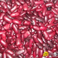 dark red kidney beans